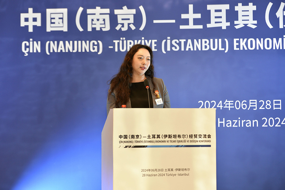 焦点科技受邀出席中国（南京）—土耳其（伊斯坦布尔）经贸交流会